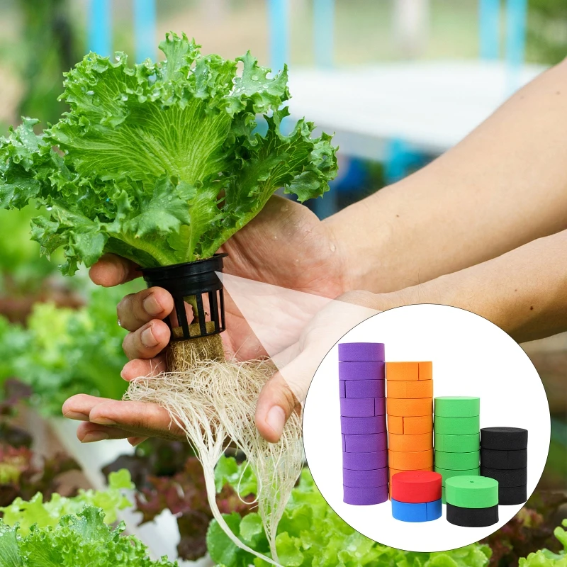 20 stücke 48/70mm Garten Soilless Anbau Kindergarten Schwamm Hydrokultur Syetem Klon Halsbänder Körbe Medien EVA Schaum pflanzung Schwamm – Detail 7