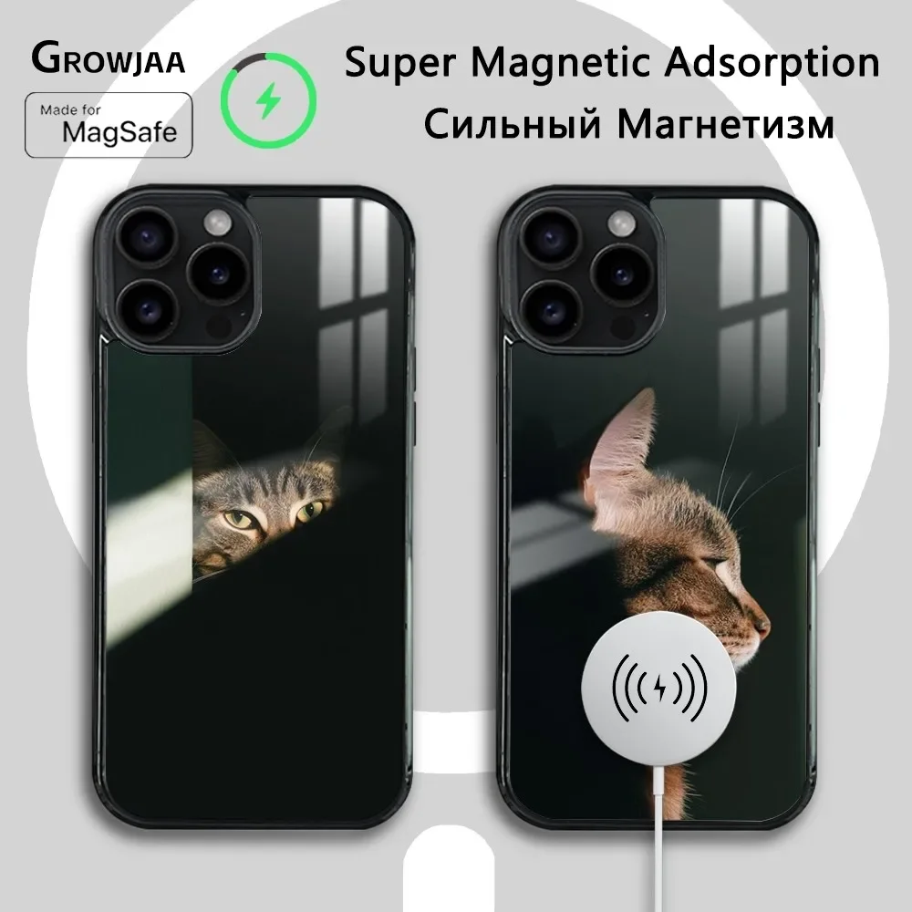 

Cool Cute Cat Phone Case For iPhone 16 15 14 13 12 11 Pro Max Plus Mini Magsafe Mirror Wireless Magnetic Cover