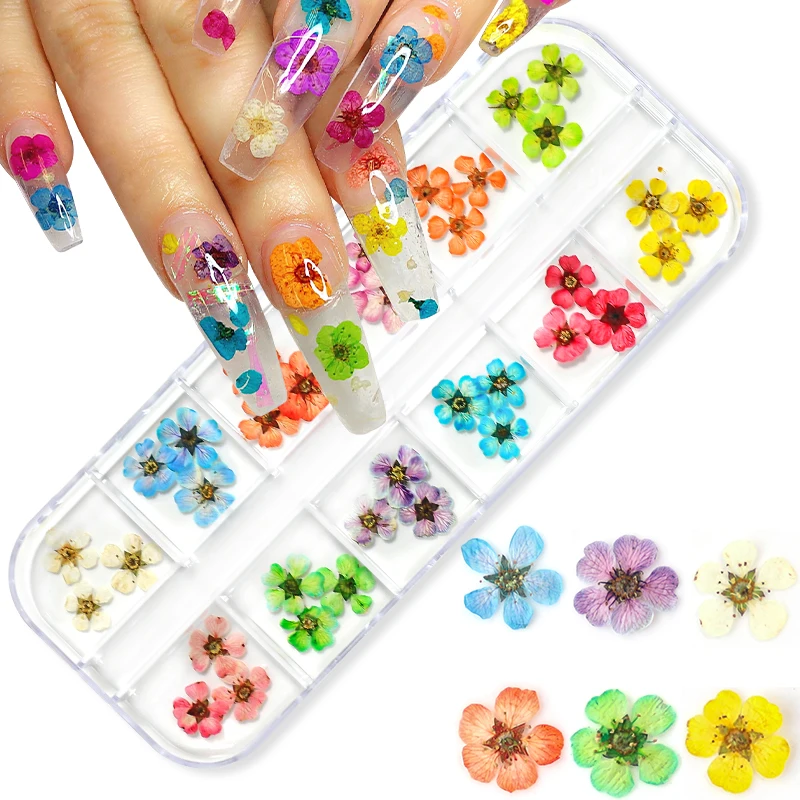 3D trockene Blume Nail Art Dekoration echte Mini getrocknete Blüte Aufkleber natürliche Blumen Charms Designs DIY Maniküre Nägel Zubehör