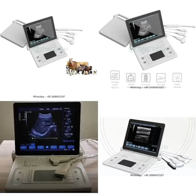 

Vet Scan Equipment Handheld Portable Veterinary Machine For Animals And Pets