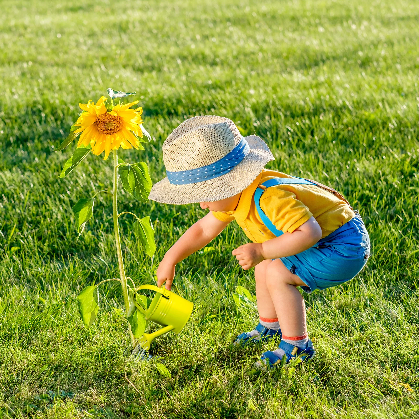 

Kids Watering Can Mini Colorful Children Gardening Tool Iron Material Durable Vibrant Large Opening Refill Long Mouth
