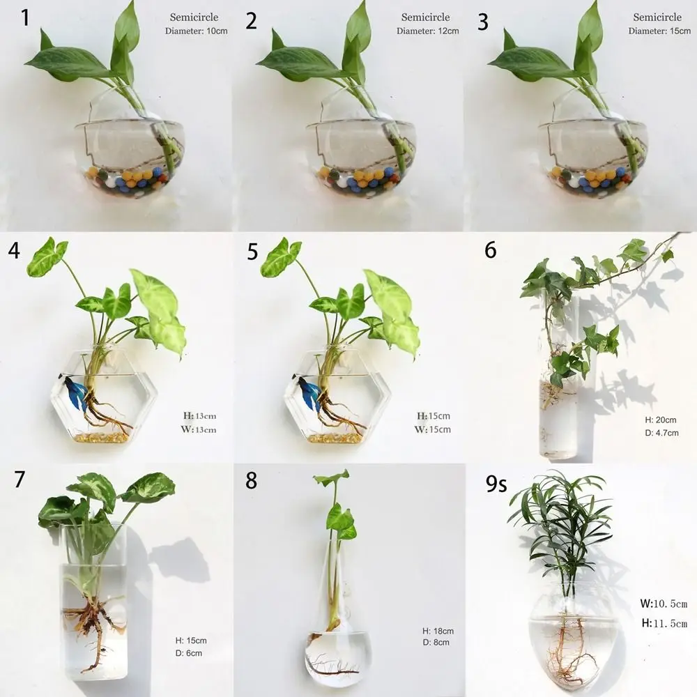 Irregular Shape Hydroponic Plants Glass Crafts Wall-mounted Fish Tank Hydroponic Vase Flower Pot Plant Container Flower Vase