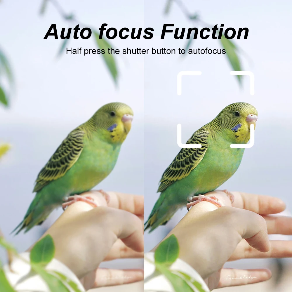 Thumbnail 4 - #26 Best Compact Digital Cameras to Buy In 2026