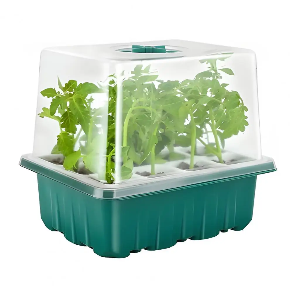 

5Pcs Seeds Starter Trays,Plants Propagation Tray with Drainage Holes,Greenhouse Garden Growing Plants Propagation