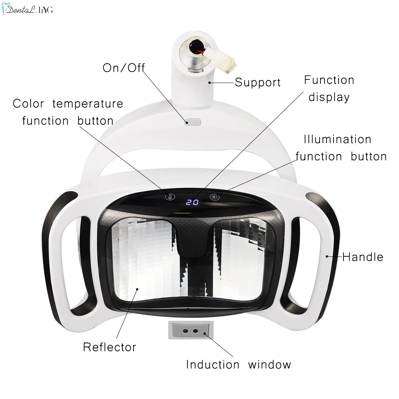 2 kolory dentystyczna lampa LED oświetlenie operacyjne fotel dentystyczny zimne światło bezcieniowa lampa indukcyjna krzesło stomatologiczne