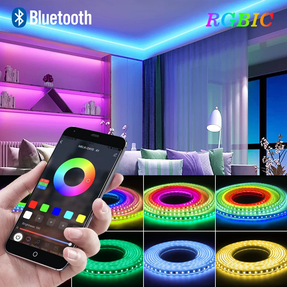 

Smart Waterproof 10m 20m 50m RGBIC LED Strip 110V 220V Dreamcolor Led Light Tape Bluetooth Control Outdoor Home Decoration