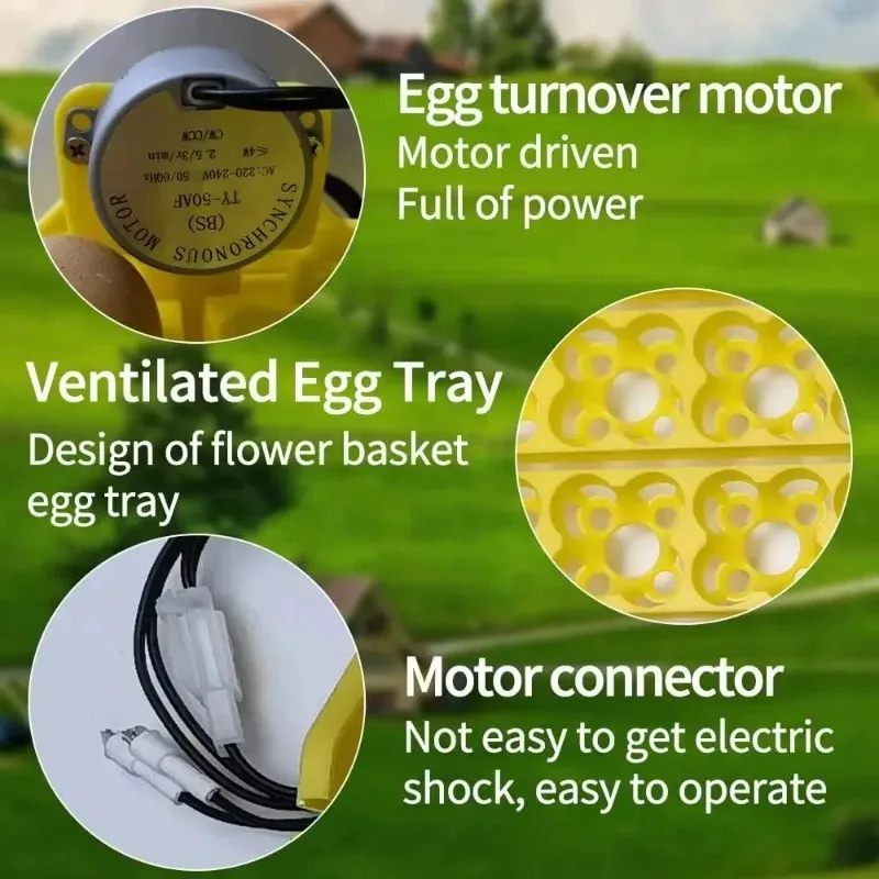 Automatic Turning Tray Chicken Incubators Tray Incubation Accessory Turner Equipment for Incubating All Kinds of Eggs 110V-220V