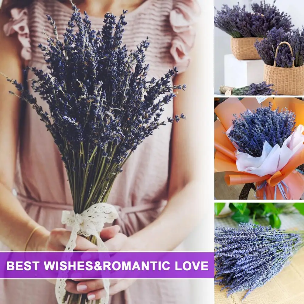 1 Box Natural Dried Lavender Sweet Scent No Watering Wedding Decor Bedside Better Sleeping Flower Arrangement Natural Plants