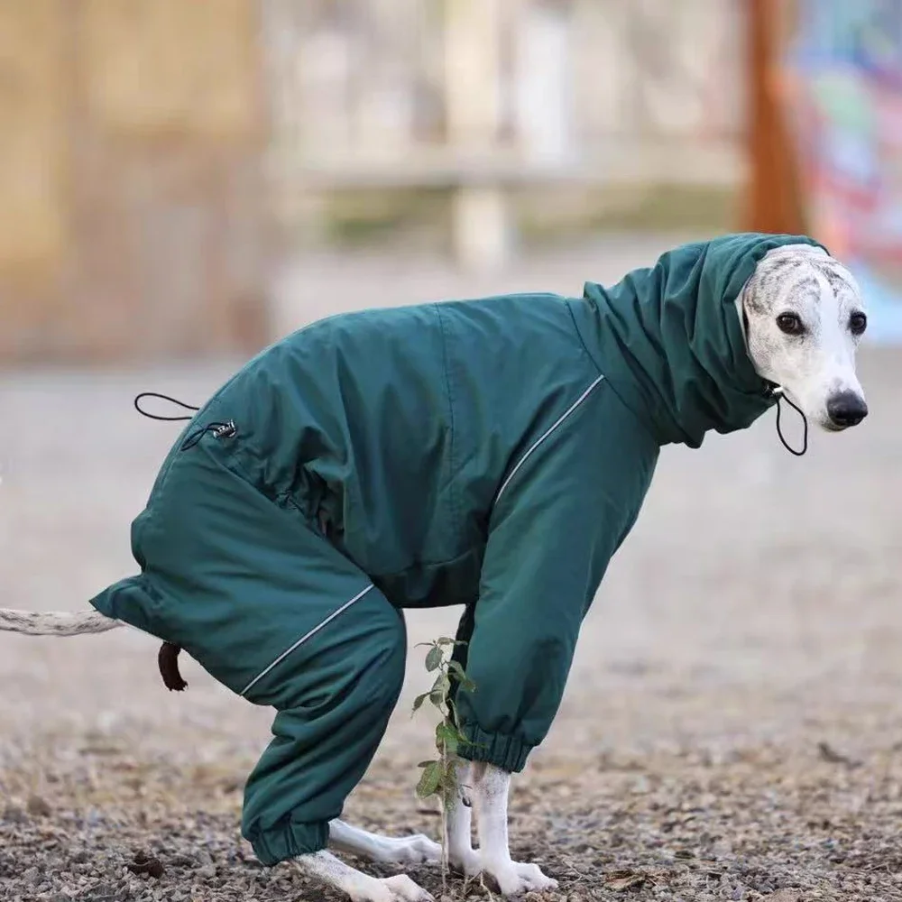 Winter Reflective Windproof Fleece Black Jacket for Italian Warm Greyhound Highneck Adjustable Green Sweatshirt for Whippet Dog