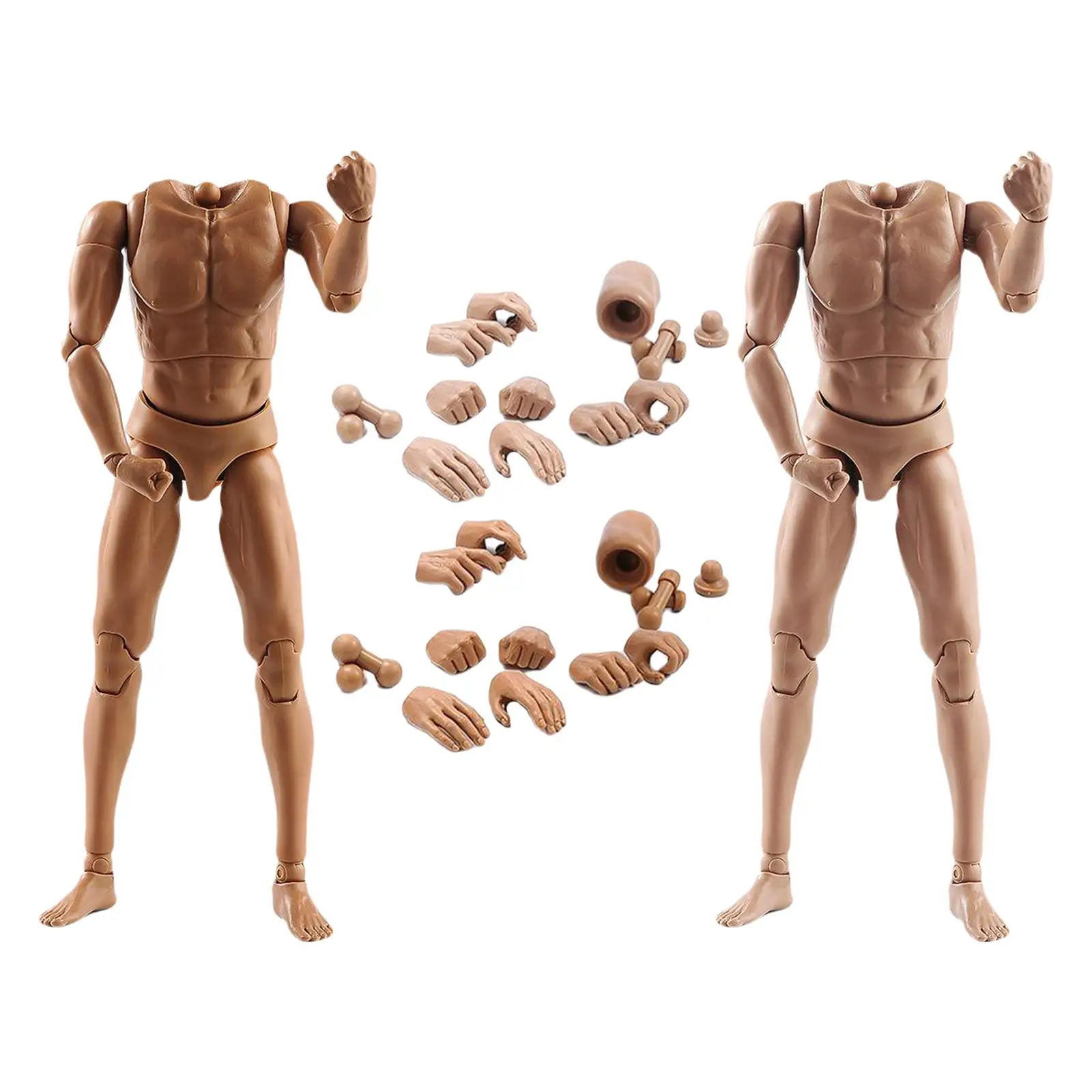 1:6 Scale Muscular Male Naked Body Pose-able 28 Joints Moveable Narrow Shoulders with Neck 29cm Heigth Figure Doll