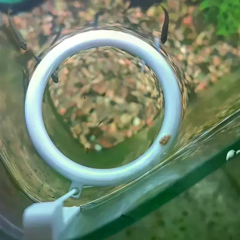 3D Printed Floating Aquarium Circular Feeder Ring Water-level Adaptive Anti-scatter Feeding Fish Tank Accessories 1 Set