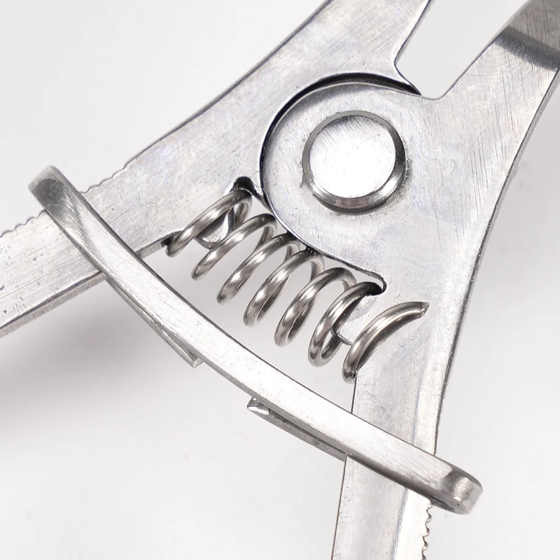 

Зажим для формирования зубной пульпы, 1 шт., из нержавеющей стали, двусторонний, для формирования пульпы в виде бобовидной пасты