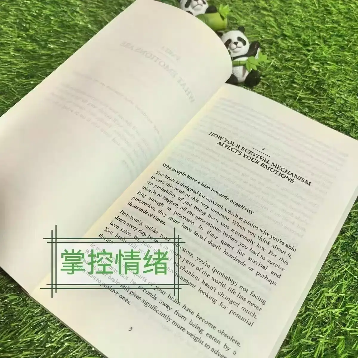 Thibaut Meurisse "استغناء عواطفك" الإنجليزية الأصلية يتغلب على العواطف السلبية وتدير أفضل عواطفك