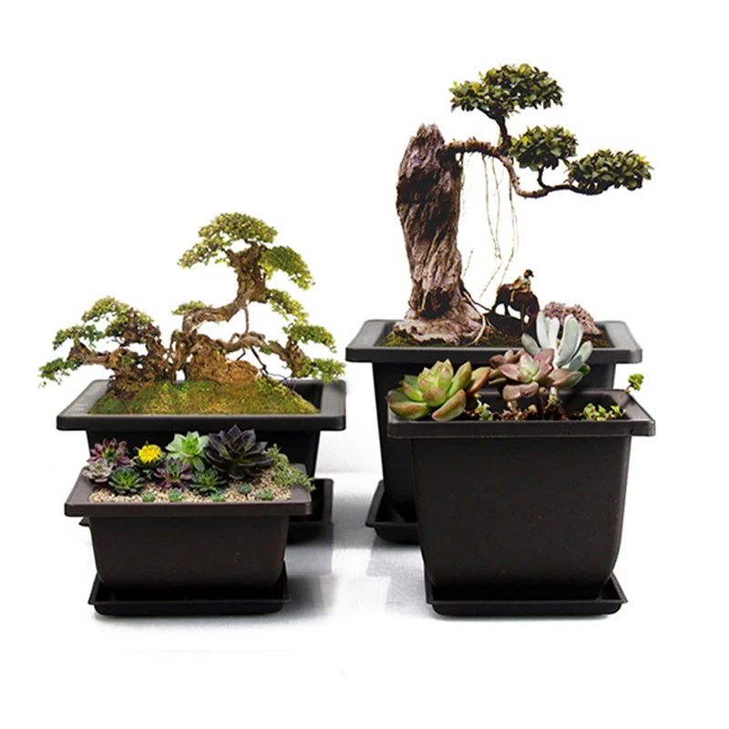 Plastikowe Bonsai donice treningowe kwiat roślina doniczka do rozsad użytku ogrodowego plantatora balkonowego