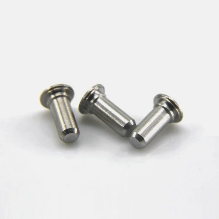 Rivetti in acciaio inossidabile Imperial Tps 304 che posano perni cilindrici con perno di guida con anello elastico