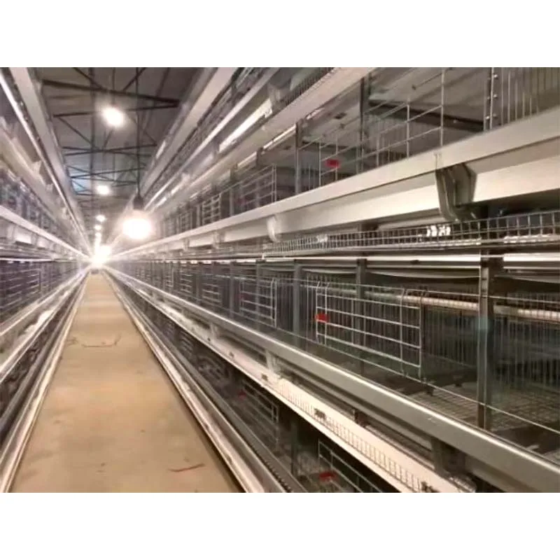 High Quality Portable Chicken Coop for Home Use or Poultry Farm Sheet Provided Customizable Chicken House Chicken Run