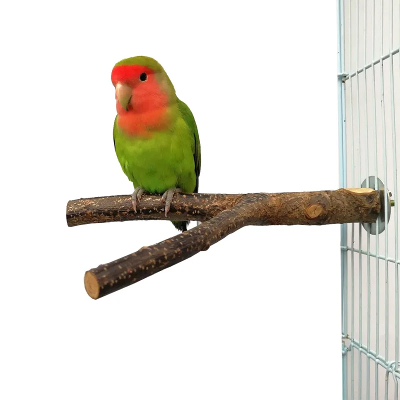Bird Toys Natural Log Tree Fork Birdcage Bifurcated Station Stand Parrots Chew Toy Standing Pole Durable Bird Accessories