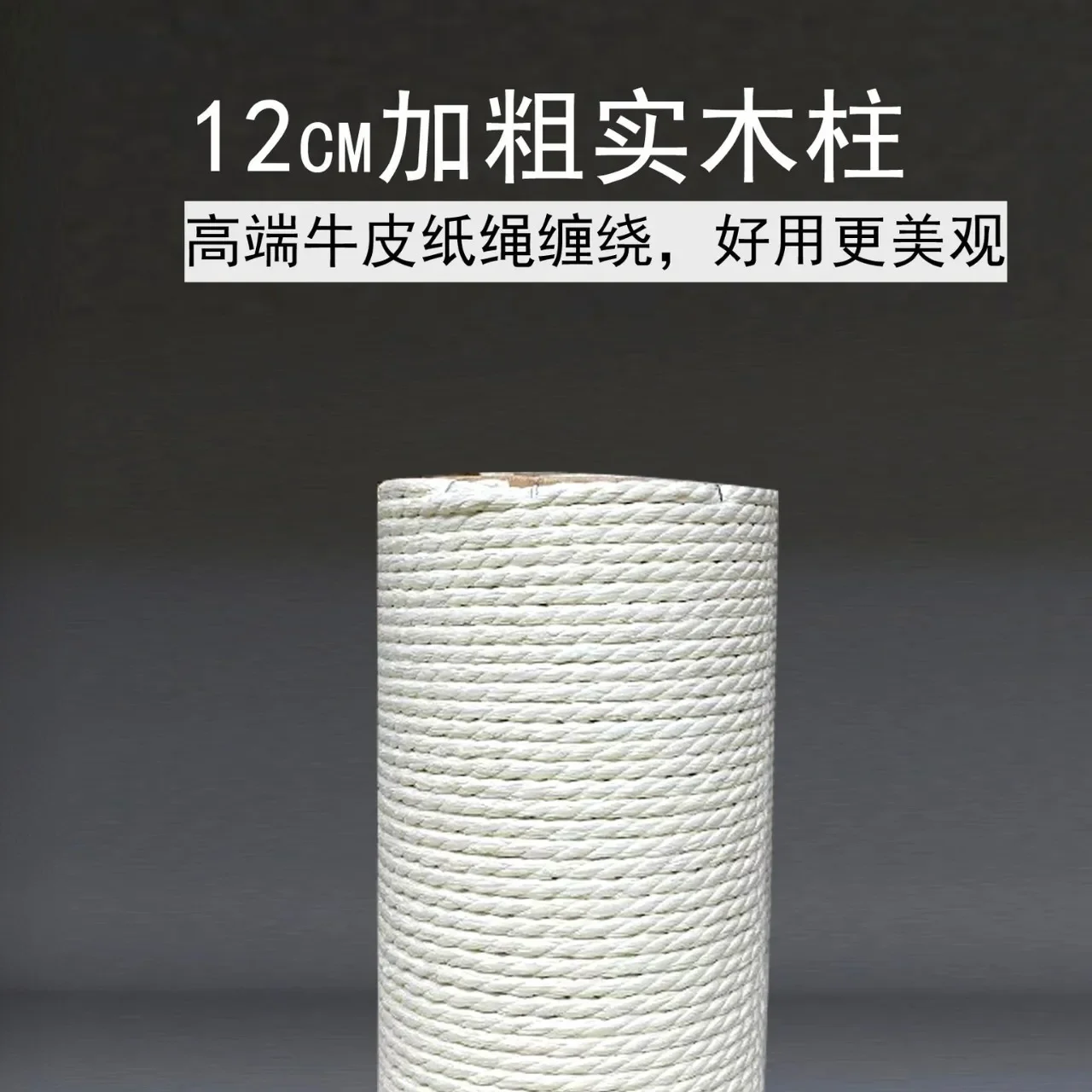 Capsule spatiale pour cadre d'escalade pour chat en bois massif