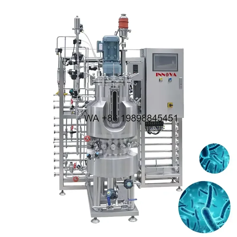 Wmwmnu for Spirulina Cultivation Pipeline Photobioreactor Temporary Immersion Bioreactor System for Algae Growth and Biofuel