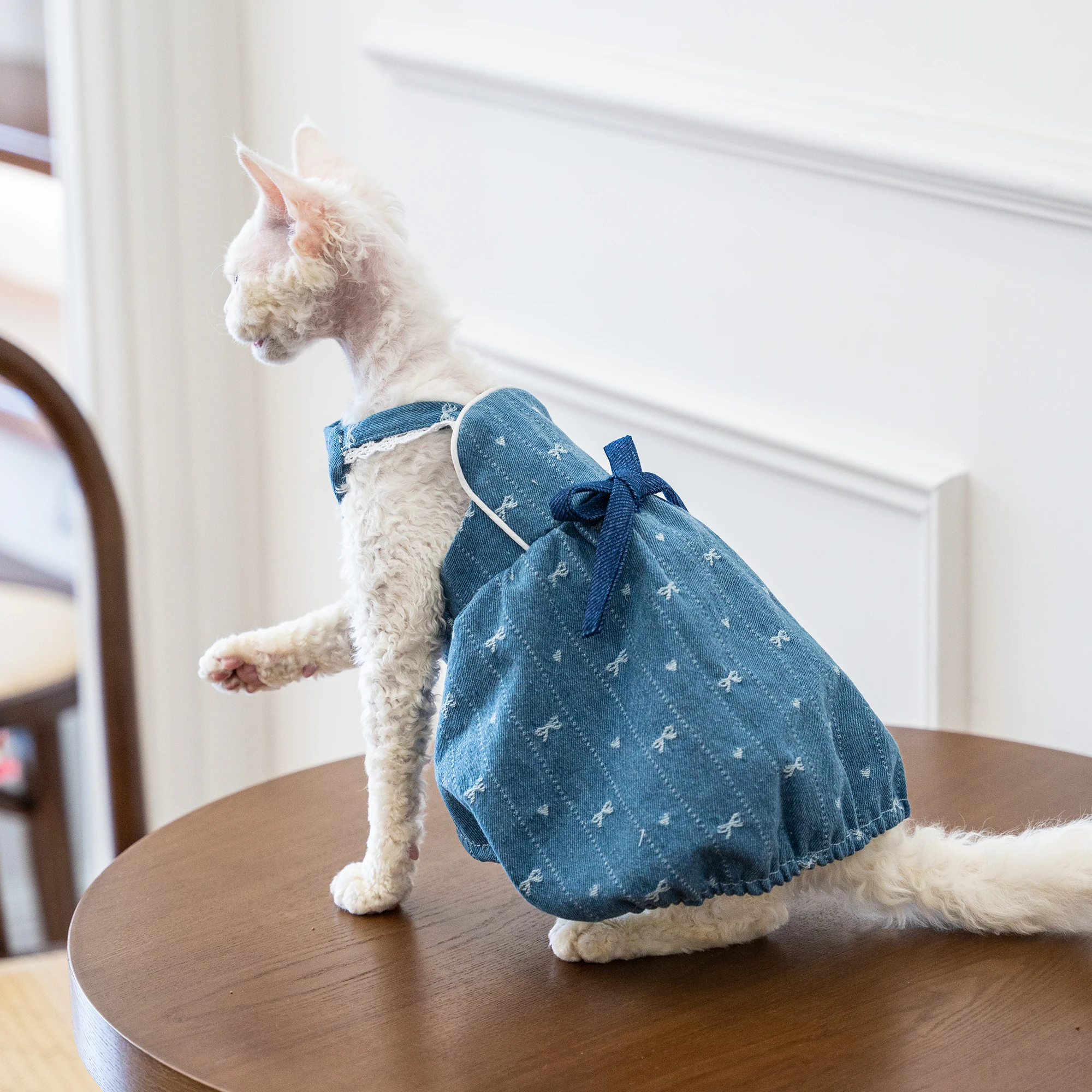 Luxury Sphynx Cat Spring Cotton Blue Denim Dress Soft Vest with Bowknot for Devon Curly Kittens Slip Dress