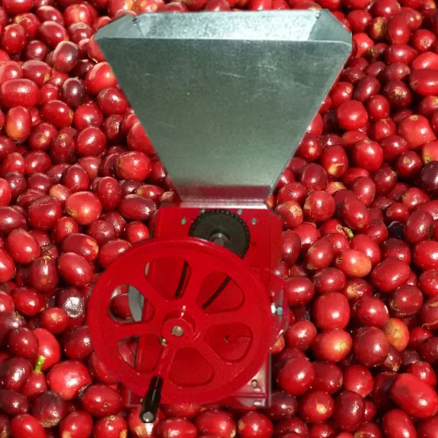 คุณภาพดีกาแฟ bean husking hulling peeling เครื่องกาแฟผิว peeler ราคา