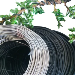 4 Rolls Bonsai Wire Set Anodized Aluminum Bonsai Training Wire Garden DIY Tool for Plant Shapes  ( 1.5mm 2.0mm 2.5mm 3mm)