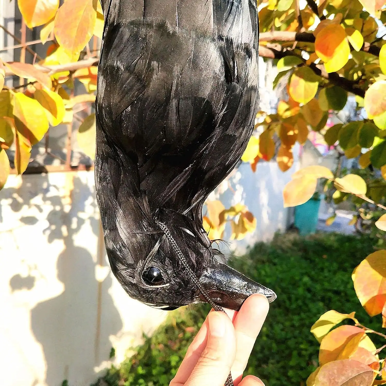 Realistic Hanging Dead Crow Decoy Black Feathered Bird Ornament Outdoor Garden Repeller Halloween Scary Decor Prop