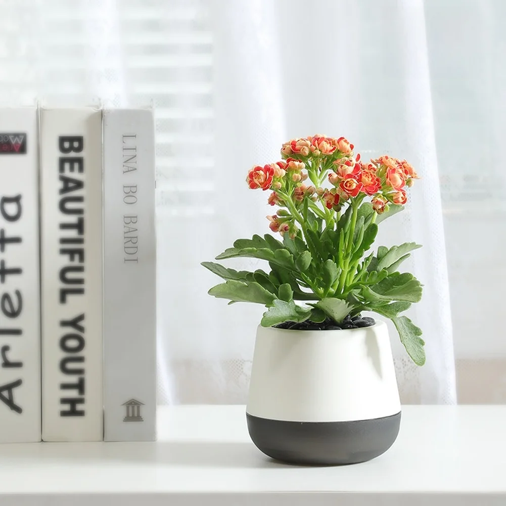 Plastic Self Watering Plant Pot for For indoor Plants Supporting Consistent Hydration Without Daily Watering Routine