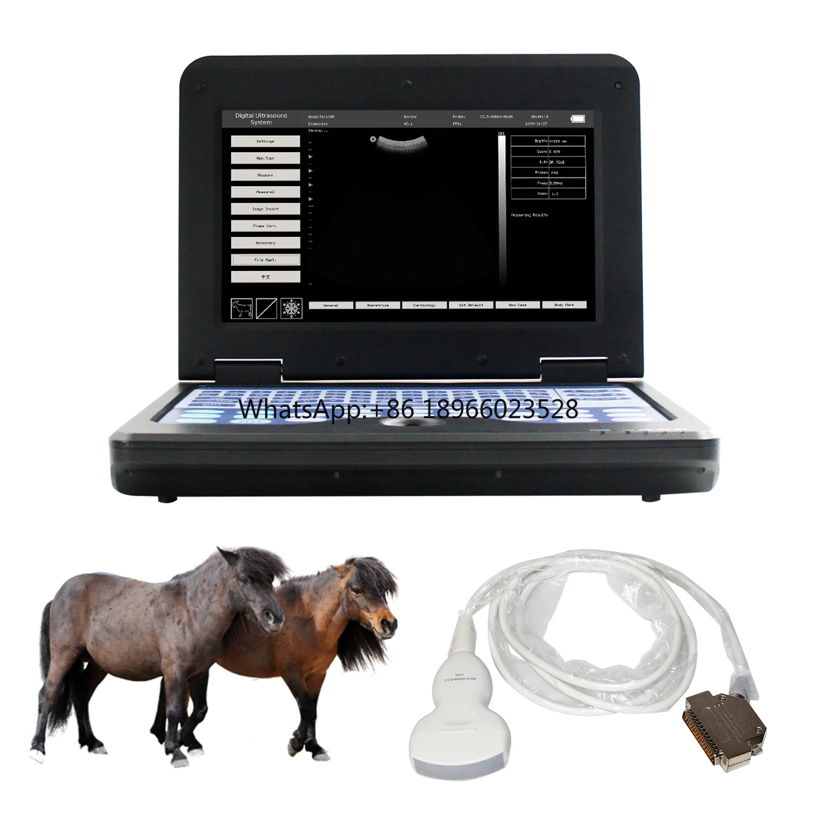 

CONTEC CMS600P2VET Veterinary Instrument Cheapest Portable vet Veterinary ultrasound machine