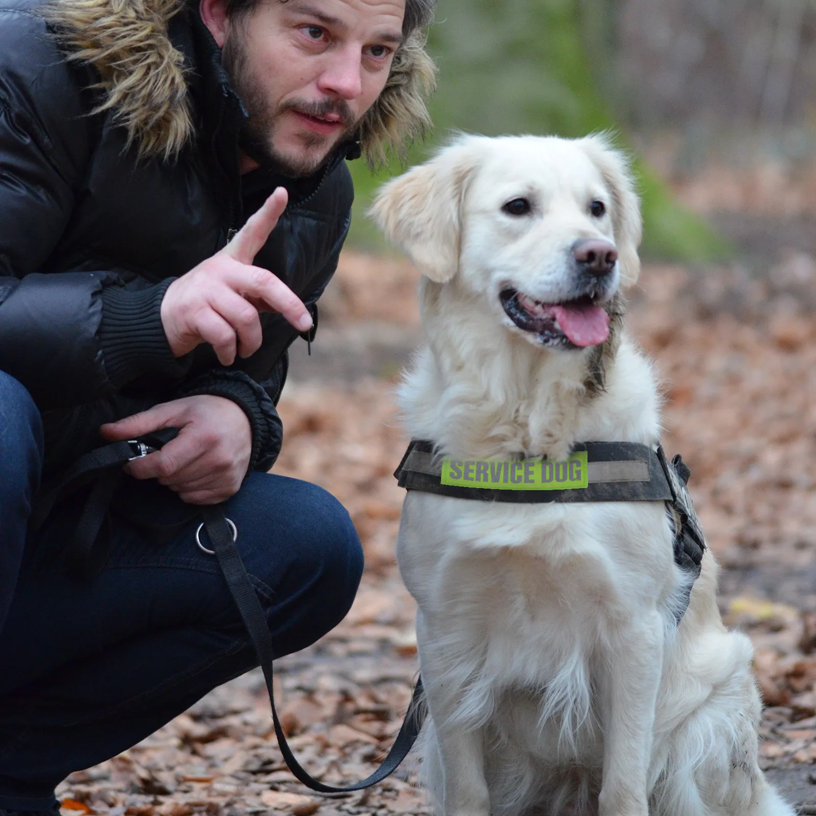 

4pcs Pet Harness Decor Professional Dog Patch Reflective Nylon Strap Service Sticker Lightweight Breathable Comfortable