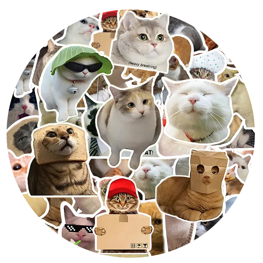 10/30/50pcs mignon Animal chat Meme autocollants drôle Expression autocollant étanche bricolage bouteille d'eau valise téléphone décalcomanies décoration