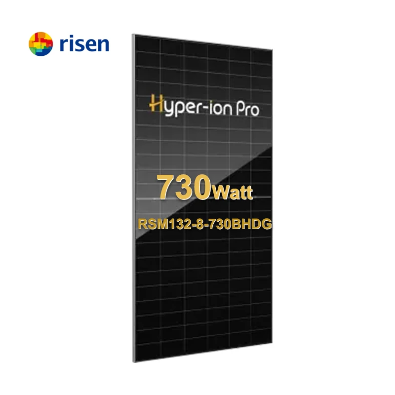 HJT 730W Solarie Panel N-Type PV Modules RSM132-8-730BHDG Bifacial  Photovoltaic Solar Panels