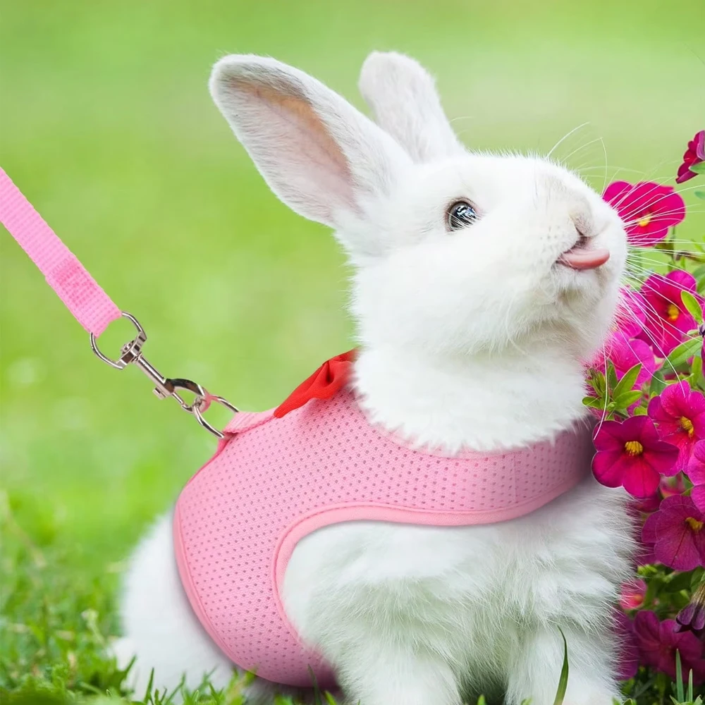 1 verstellbares Kaninchengeschirr mit Leine, atmungsaktive Netzweste und Leine für Kaninchen, Hamster und Katzen, geeignet für den Außengebrauch mit kleinen Tieren. – Detail 4