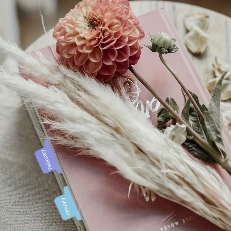 Schede indice adesive colorate: segnalibri di pagina bifacciali scrivibili, adesivi per pianificatori, etichette e classificanti per annotazioni di libri