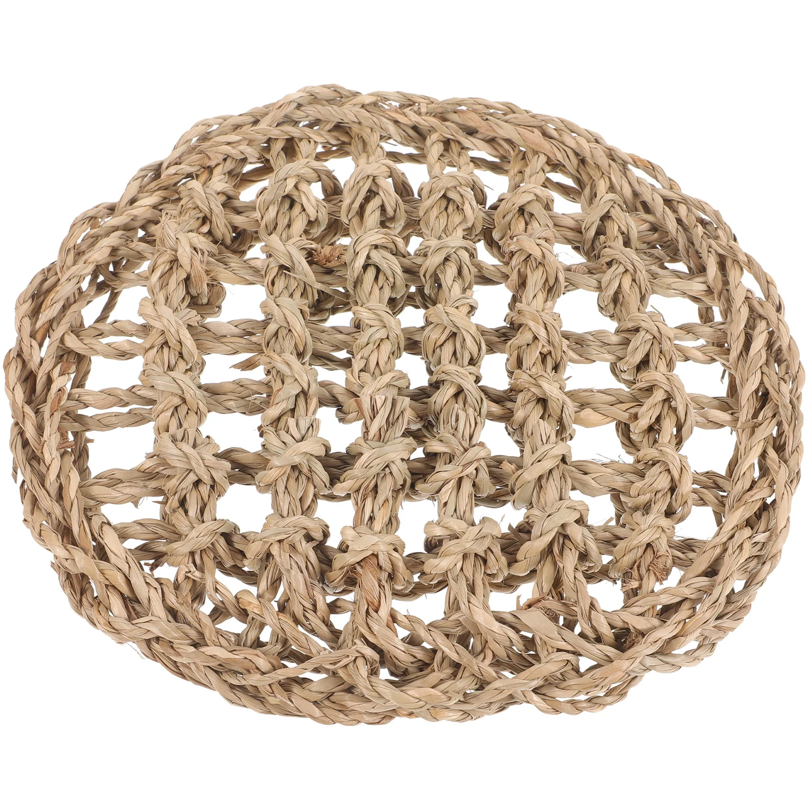 

Crawling Pets Net Reptile Lizard Woven Mat Fine Mesh Distribution Removable Nest Bed Bearded Dragon Accessories