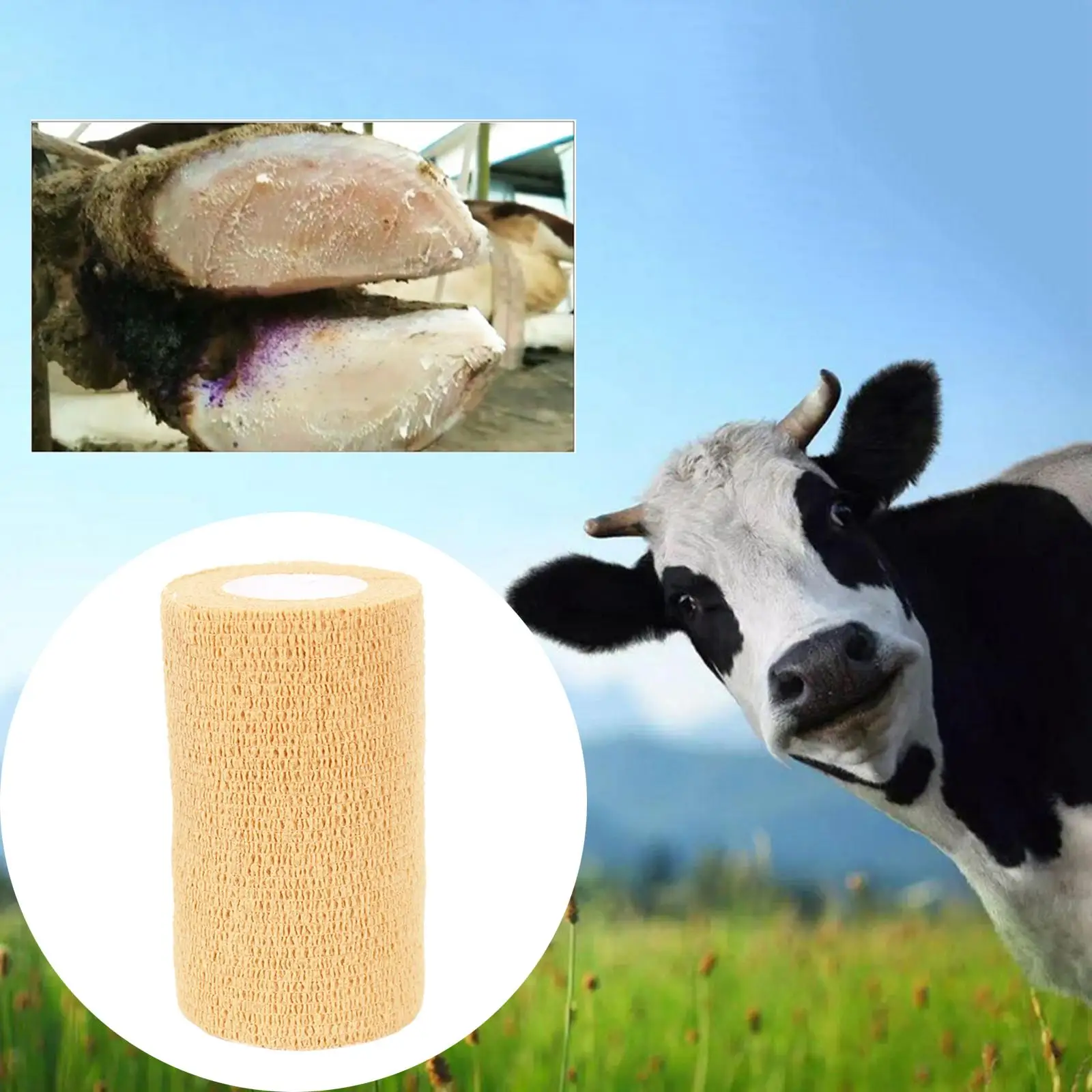 Rolos de gaze Bandagem coesa de primeiros socorros para cavalos de vaca pássaros animais 10x450cm