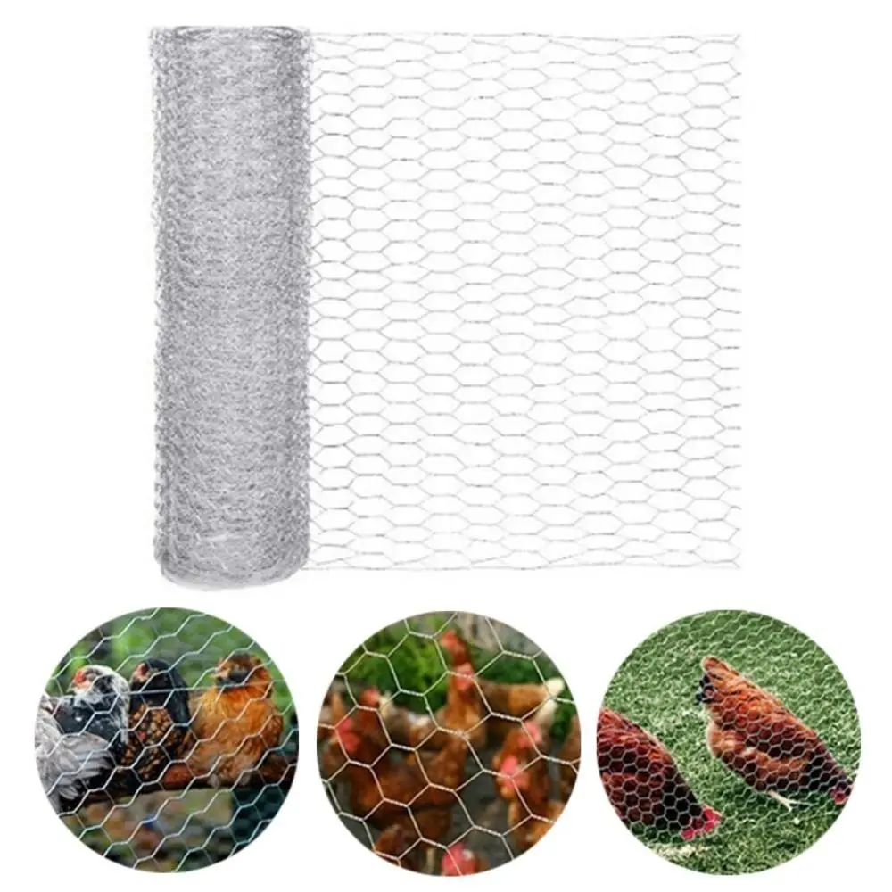 Lightweight Galvanized Wire Mesh Rust Proof Scratch Resistant Hexagonal Wire Mesh Galvanized Tear Resistant