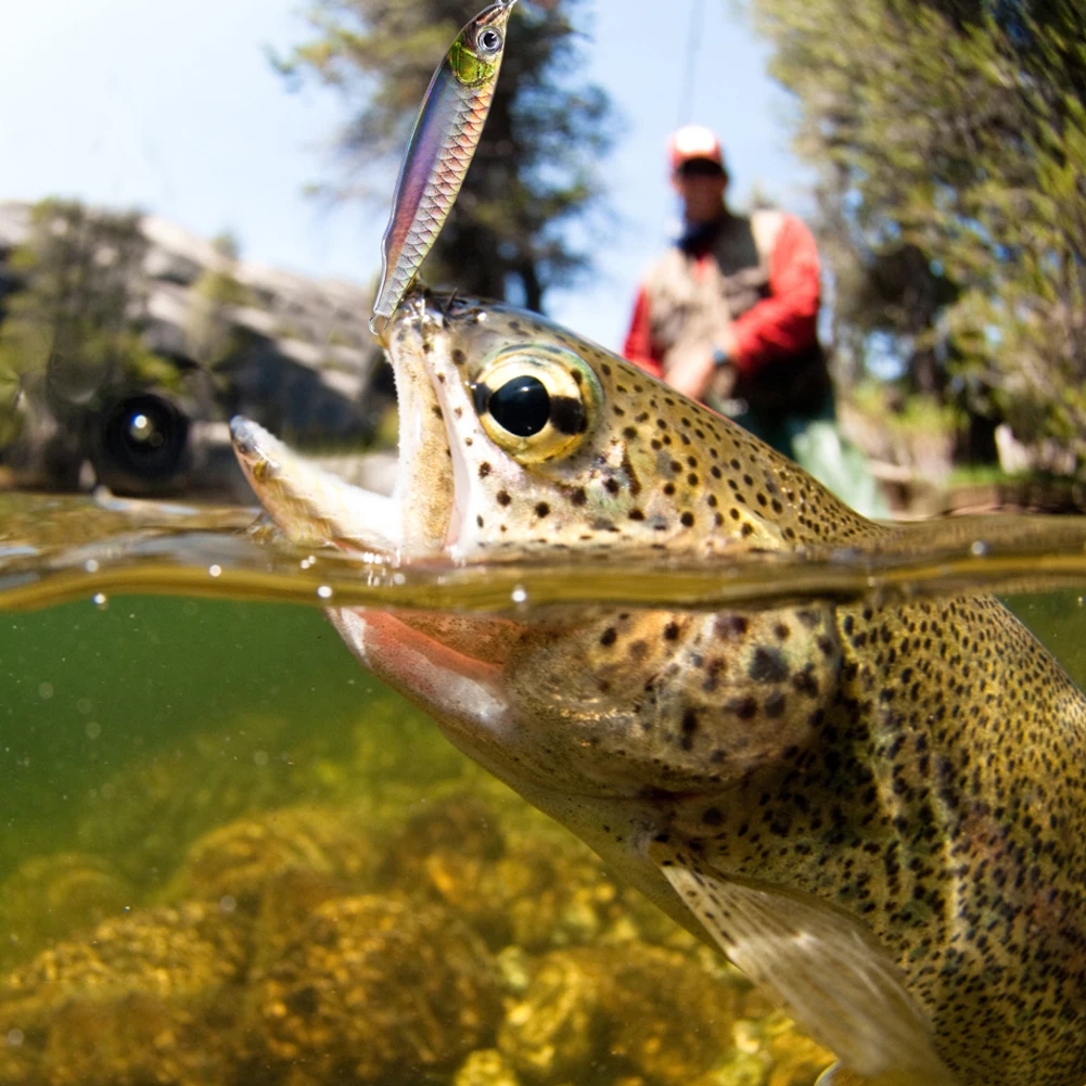 3D Print Bionic Fishing Lure Realistic Fish Shape Floating Bait Simulating Fish Lures Baits Lightweight for Freshwater Saltwater