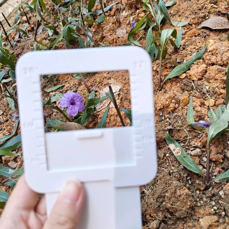 Painting Viewfinder…