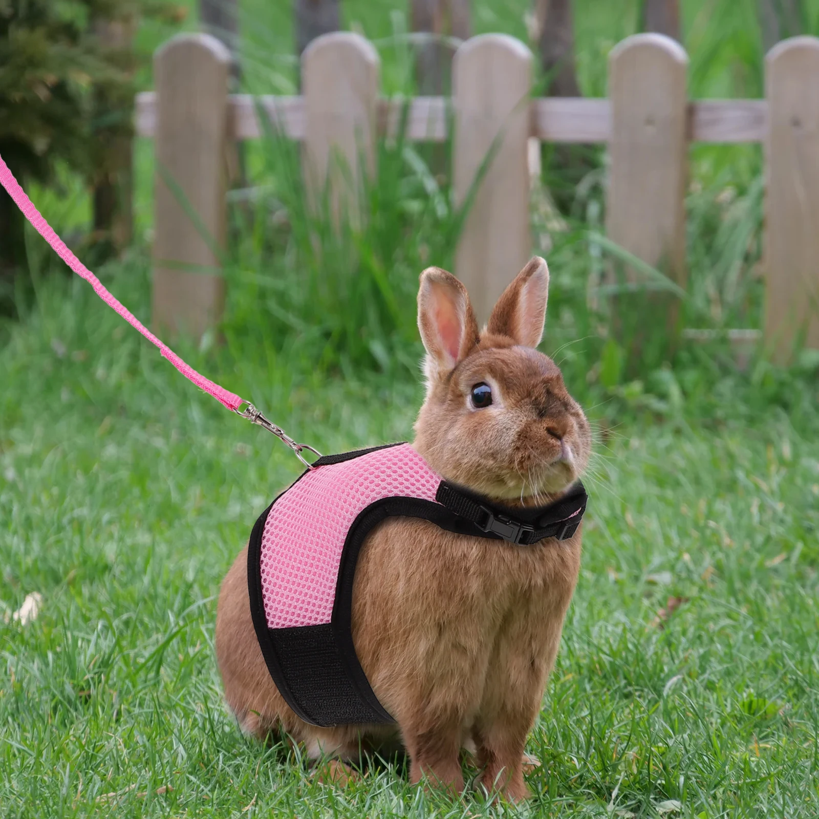 

3 Sets Vest Style Pet Leash Small Animal Harness Rabbits Net Squirrel Traction Rope