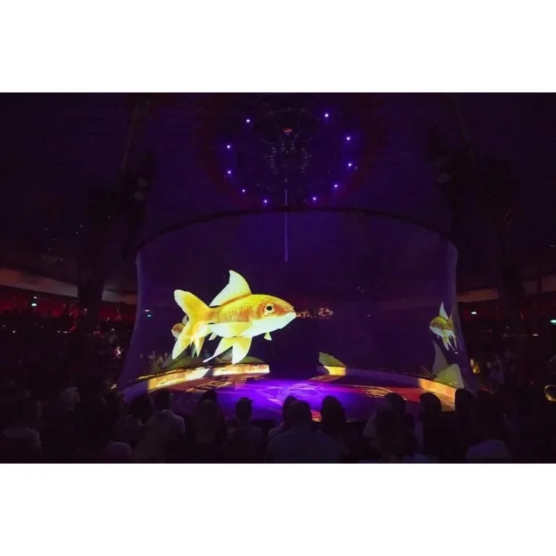 3D Holographic Mesh Projection Screen For Hologram Exhibition ,Circus Display ,Wedding