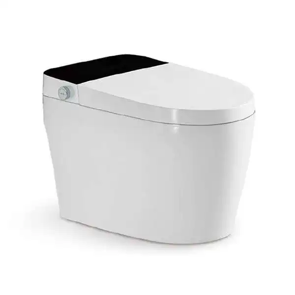 Smart Bidet Toilet Sanitary Ware Floor Mounted Electric Bathroom Smart WC Toilet Ceramic Intelligent Automatic Smart Toilet