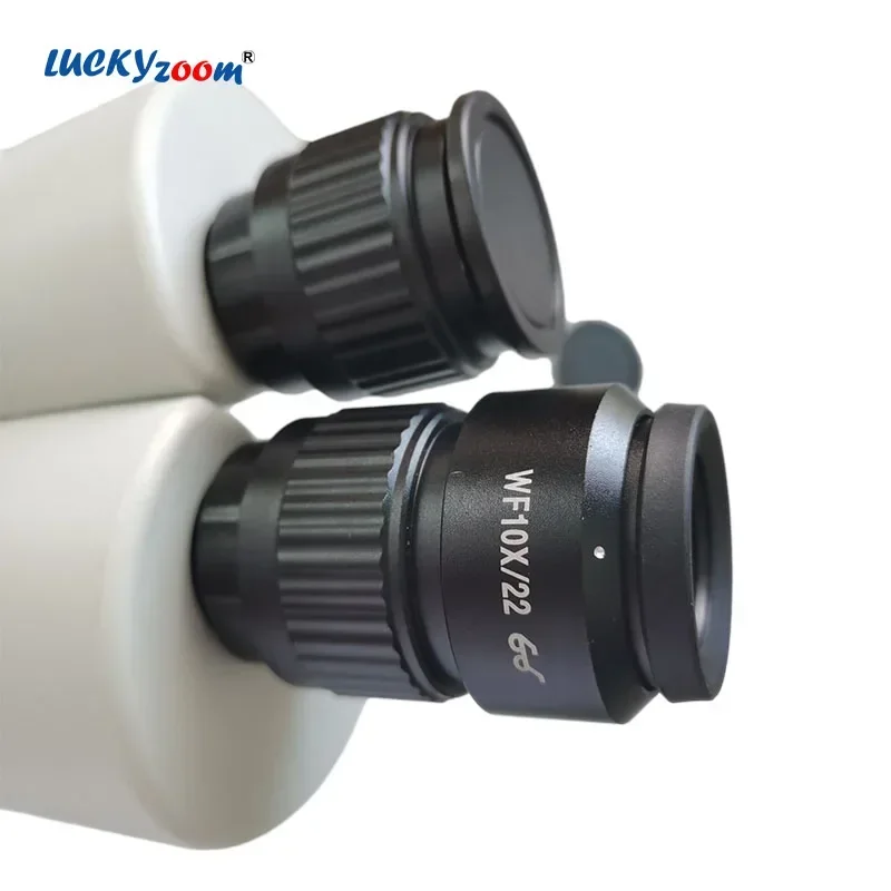 2pcs Adjustable 10X Microscope Eyepiece Scale Widefield Reticle Ocular For Trinocular Stereo Microscopio Measurement Calibration