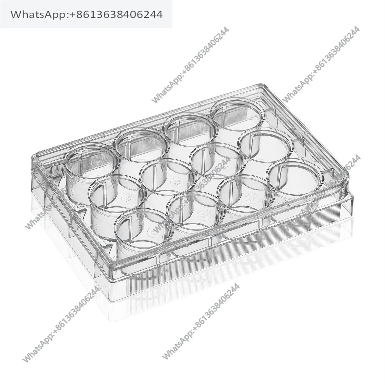 ABCBIO 12-well cell culture plate TC-treated sterile enzyme-free independent packaging ABC712006