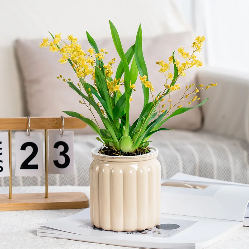 Hydroponic Plastic Flower Pot Succulent Plant Pot Self Watering Planter Pots Home Tabletop Flower Pot Modern Decoration