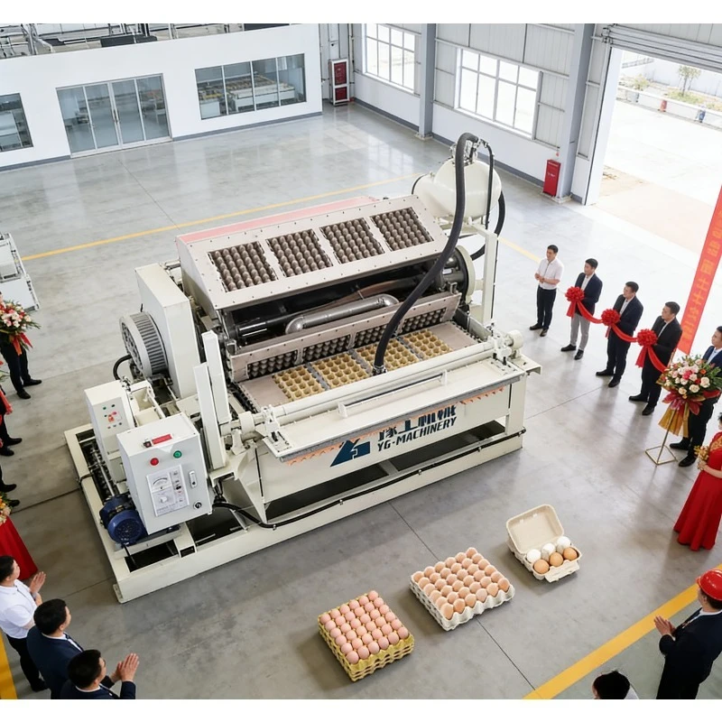 High-Automation Egg Tray Machine PLC Control System Stable Production Quality