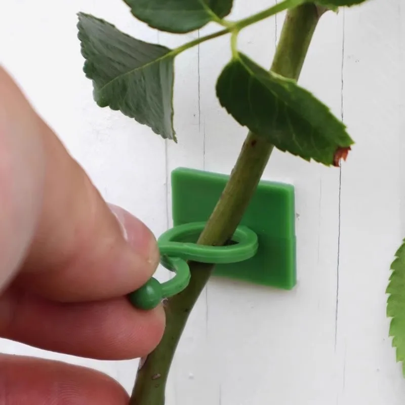 Self-Adhesive Invisible Plant Climbing Hooks 30Pcs Reusable Adjustable Vine Clips Multi-Purpose Garden Holder