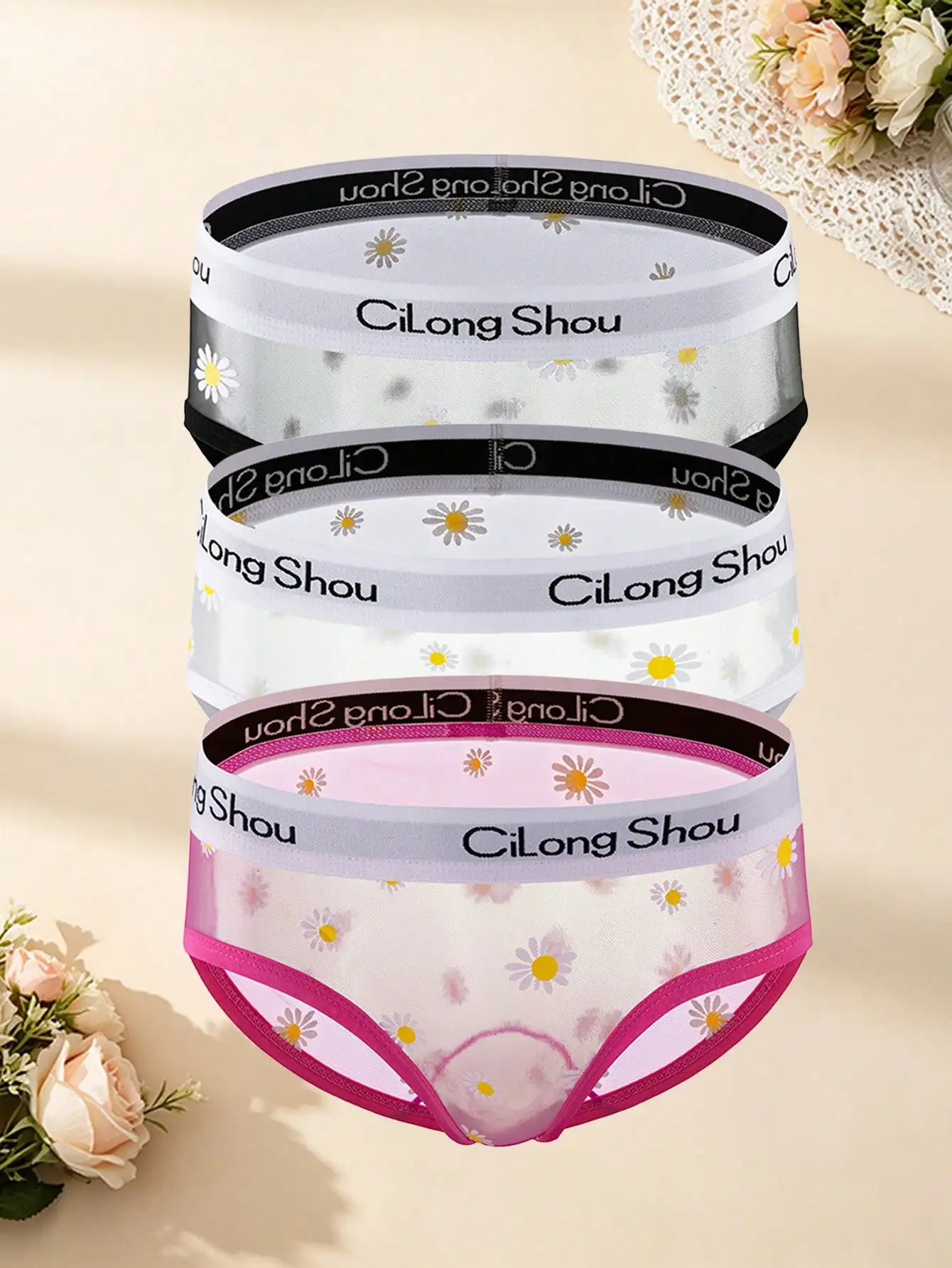 3Pcs Sheer Mesh Briefs, See Through Design Sexy Ladies Panties, Soft Comfortable Breathable Women Underwear