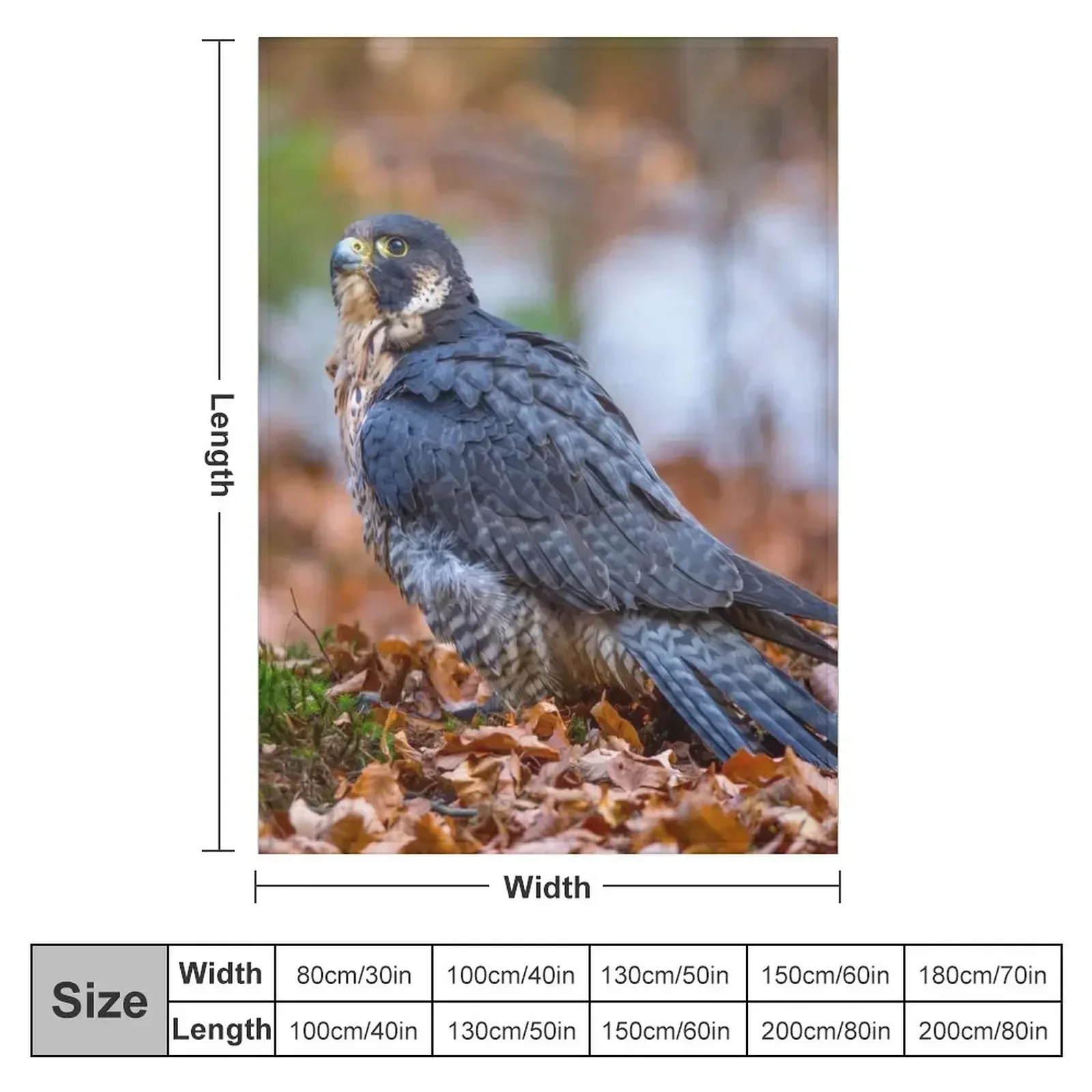 New Peregrine Falcon Throw Blanket for winter wednesday Travel For Sofa Thin Blankets