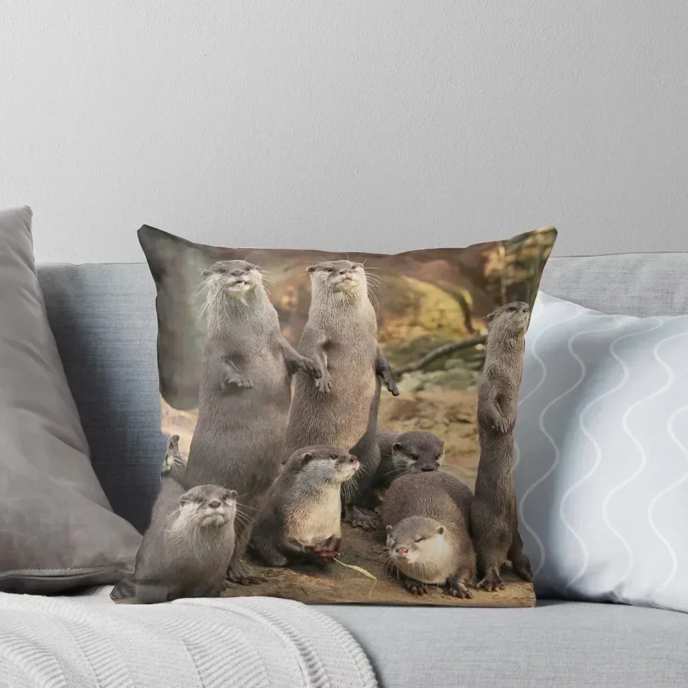 Otters Throw Pillow Bed pillowcases Sofas Covers Decorative Cover For Living Room luxury throw pillow covers pillow